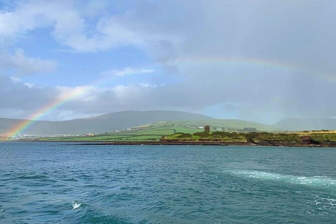 1 hour Dingle Bay Cliff Tour - Dingle Bay From the Water, What Makes It Worth Your Hour