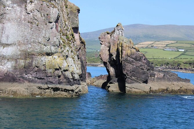 1 hour Dingle Bay Cliff Tour - The One-Hour Format: Short, Focused, and Good for Most Schedules