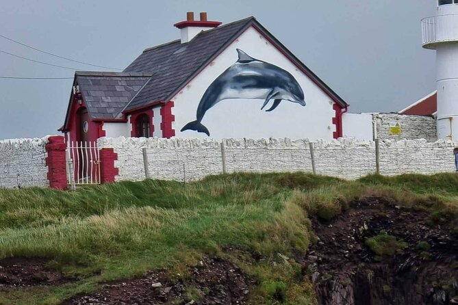 1 hour Dingle Bay Cliff Tour - Price and Value: Why $26.61 Can Feel Like a Big Win