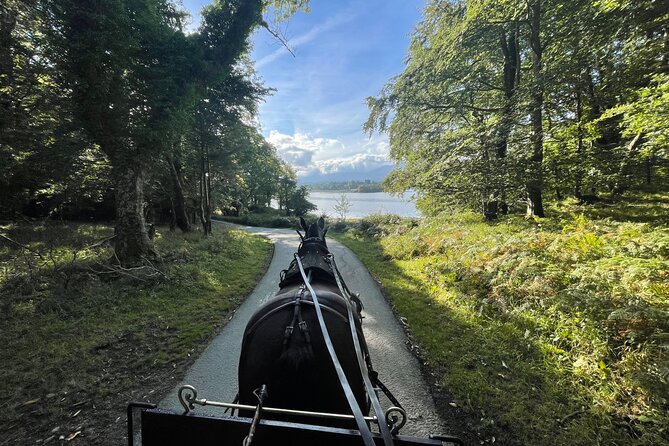 1 Hour Guided Carriage Tour in Killarney National Park - Quick hits before you hit the road