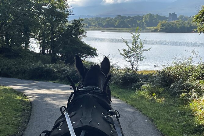 1 Hour Guided Carriage Tour in Killarney National Park - Ross Castle: the photo stop and the small timing tradeoff