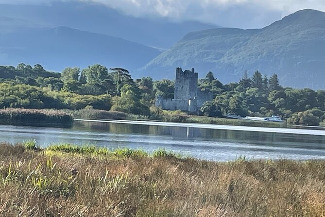 1 Hour Guided Carriage Tour in Killarney National Park - The guide experience: story time at horse noise speed