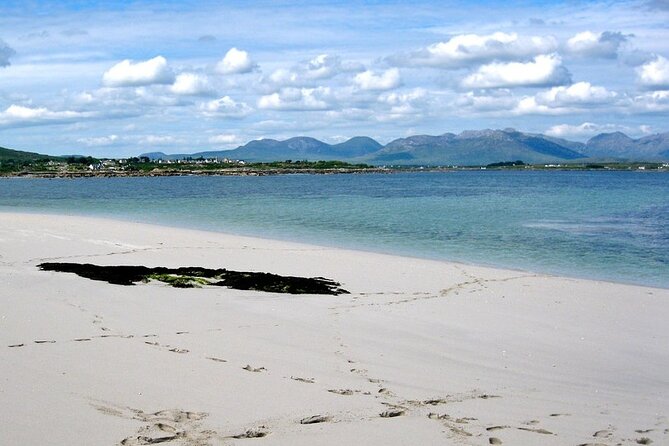 2.5 Hour Guided Sea Kayaking in Roundstone Bay - When your route continues to Inishlacken island