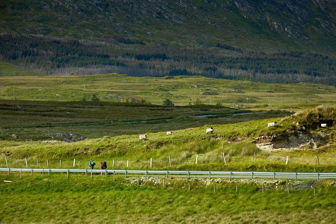 2-Day Western Ireland Tour from Dublin:Including Galway and Cliffs of Moher - Galway City: 2 hours to roam with real options