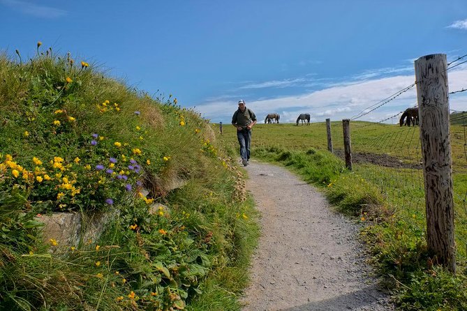 2-Day Wild Atlantic Way Tour From Dublin - Who This Tour Suits Best, and Who Might Prefer Something Else