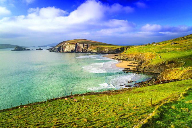 3-Day Dingle, Killarney and the Wild Atlantic Way Small-Group Tour from Dublin - Price and value: what $795.70 buys, and what you still need to pay