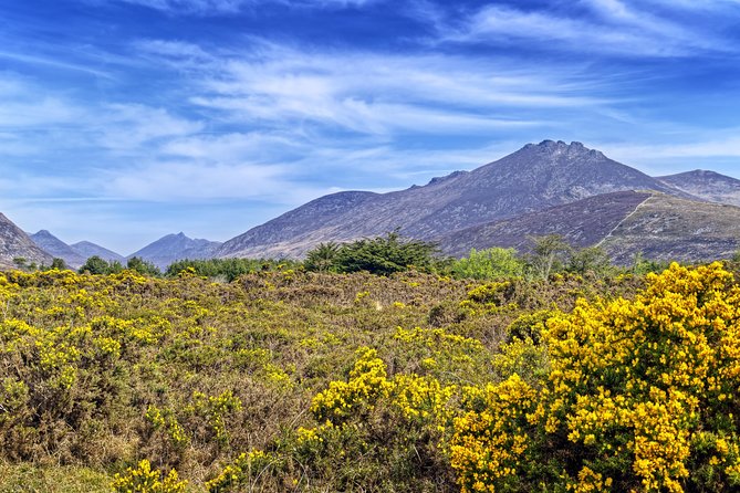 3-Day Discover Northern Ireland Small-Group Tour from Dublin - Causeway Coastal Route: coastal views with built-in breaks