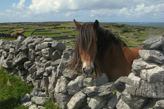 3-Day Southern Ireland Tour Including Galway and Kerry from Dublin - Day 2 Down the Wild Atlantic Way: Burren Mini Cliffs to Moher Majesty