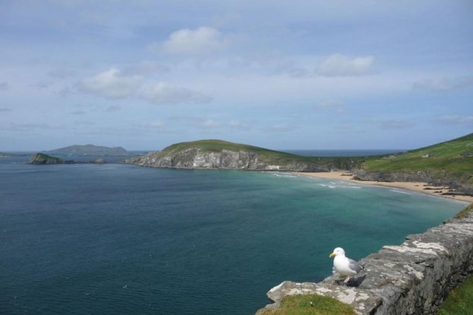 5-Day Northern Ireland and Atlantic Coast Small-Group Tour from Dublin - Day 2: Derry’s walled city and Donegal Castle