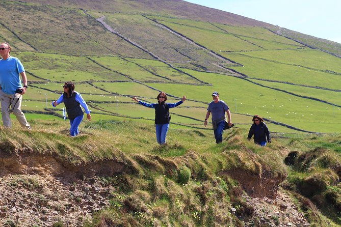 6-Day Magical Southern Explorer Small Group Tour - Burren Farm Experience with Bronagh and Cathal, plus Burren National Park