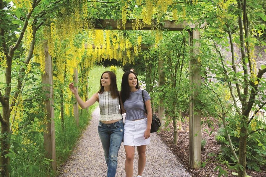 6-Day Tour of Southern Ireland from Dublin - Key Takeaways Before You Go