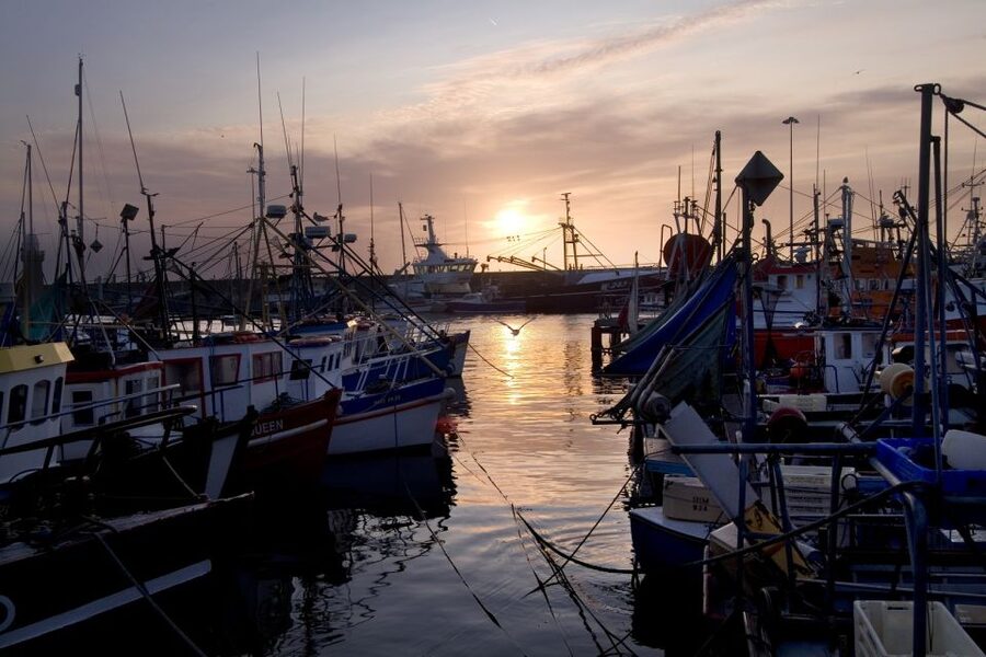 6-Day Tour of Southern Ireland from Dublin - Accommodation and Included Breakfast, Where the Value Comes From