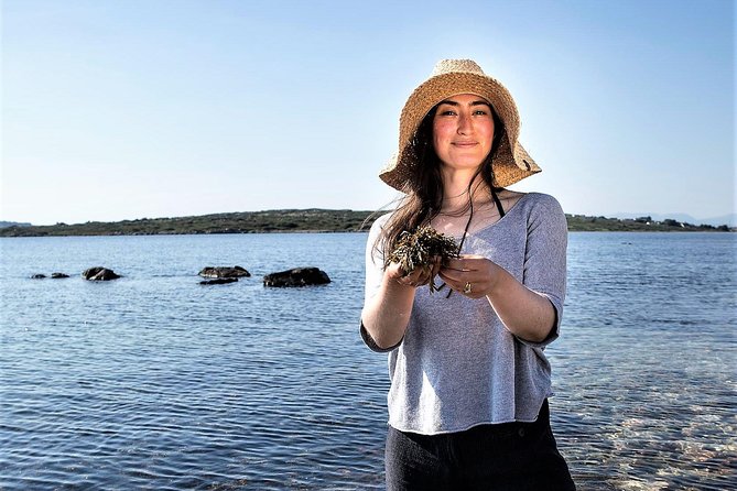 Abalone farm tour and tasting with coastal seaweed walk. Guided. 2 hours - Inside Mungo Murphys Seaweed Co: where coastal aquaculture meets education