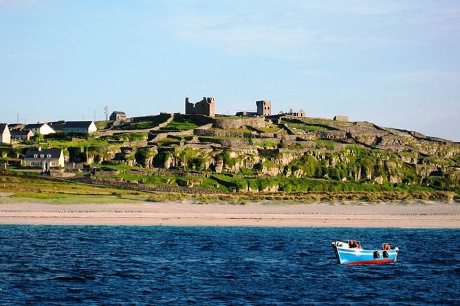 Aran Island, Cliffs of Moher & Cruise tour from Galway. Guided. - Doolin to Inisheer Ferry: Dolphins, Wind, and Motion-Sickness Prep