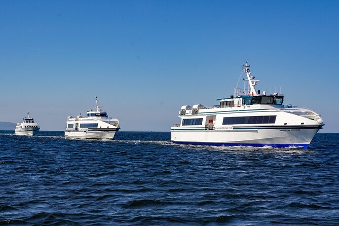 Aran Islands and Cliffs of Moher Day Cruise sailing from Galway City Docks - The Aran Islands leg to Inish Mór: time on the water and a wildlife chance