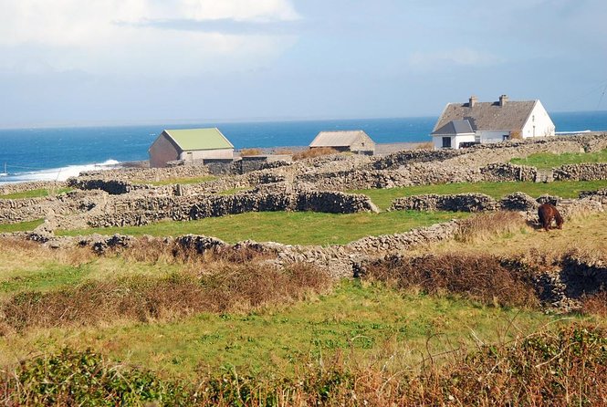 Aran Islands Bike Tour with Tea and Scones from Galway - Key highlights you will feel on this Aran day