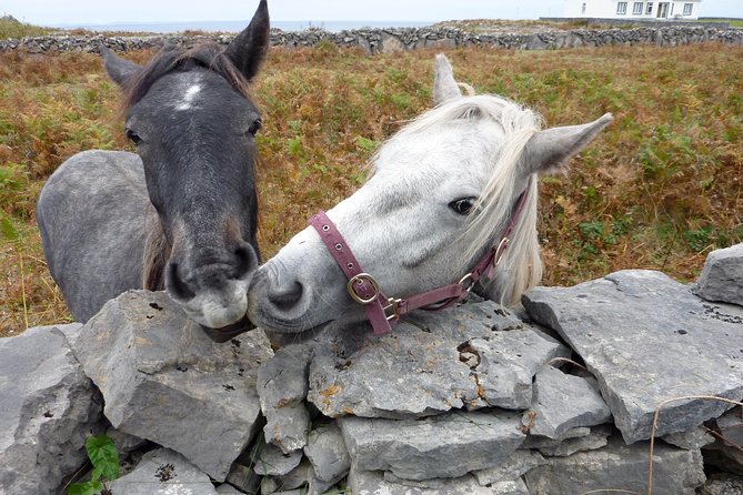 Aran Islands Scenic Flight and Galway Rail Tour from Dublin - Dun Aonghusa: the sea-cliff fort and the time you need to enjoy it