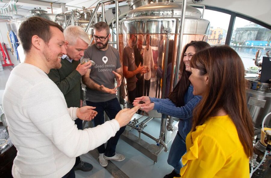 Athlone: Dead Centre Brewing Tour and Craft Beer Tasting - The guided brewery walkthrough: ingredients, brewing, fermentation, and packaging