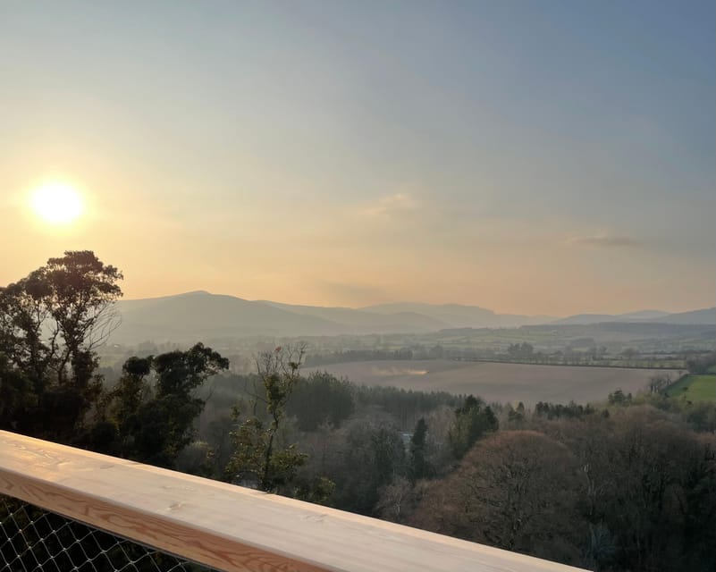 Avondale: Beyond the Trees Treetop Walk & Tower Entry Ticket - My booking advice: choose the right day and plan your descent
