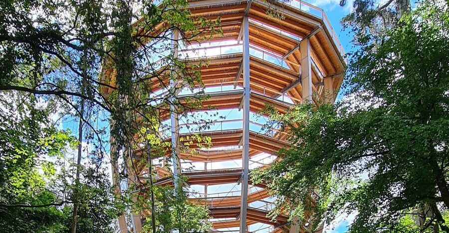 Avondale: Beyond the Trees Treetop Walk & Tower Entry Ticket - First, get your QR code at the right desk