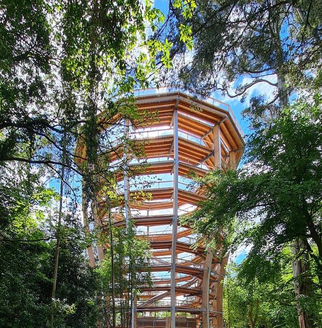 Avondale: Beyond the Trees Treetop Walk & Tower Entry Ticket - Accessibility and who will enjoy this most
