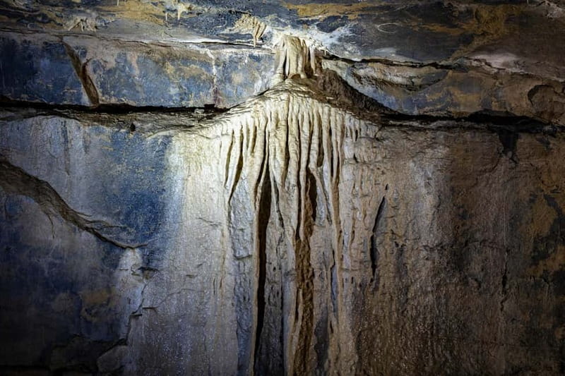 Ballyvaughan: Aillwee Burren Experience Entry Ticket - First stop: check-in at Aillwee Burren Experience (H91 AX26)