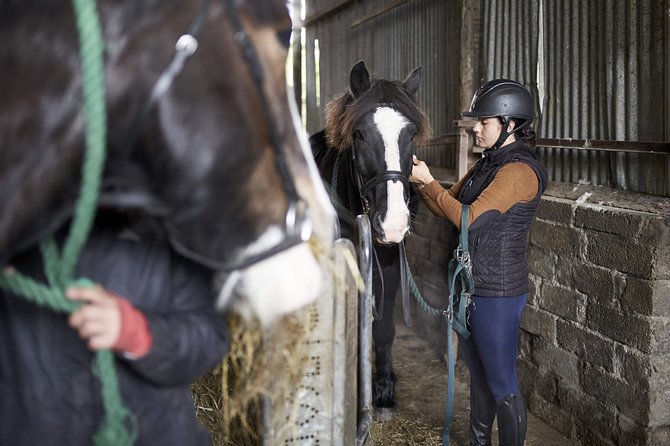 Beach & countryside horse riding outside Westport. Guided. 1 hour - From Carrowholly Stables to the quiet lanes near Westport