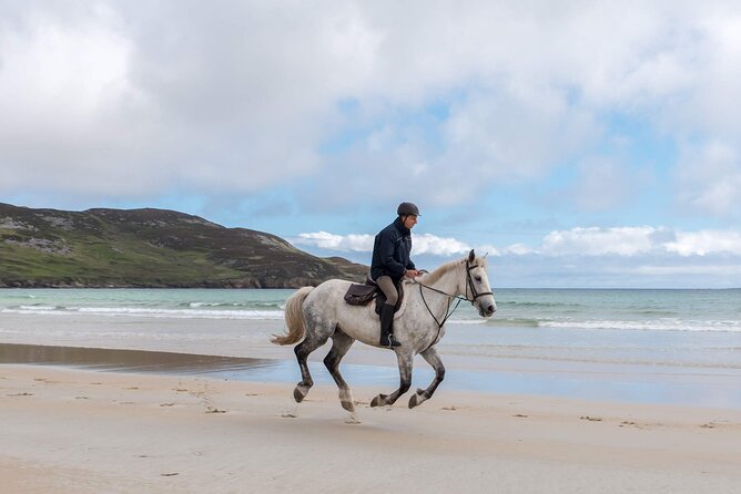 Beach & countryside horse riding outside Westport. Guided. 1 hour - How to match your riding level to the ride you want
