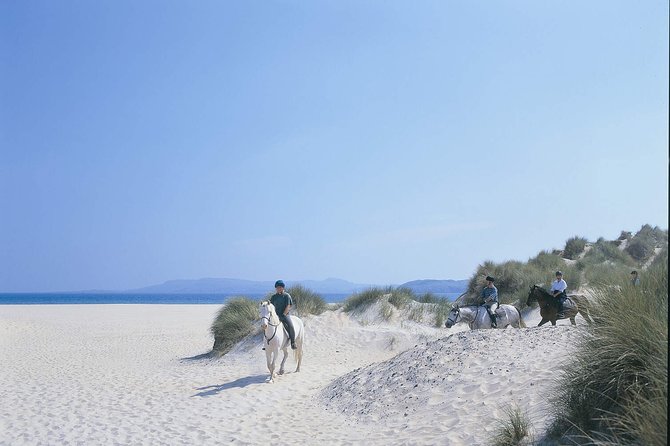 Beach & countryside horse riding outside Westport. Guided. 1 hour - Price and value: is $102.58 worth it?