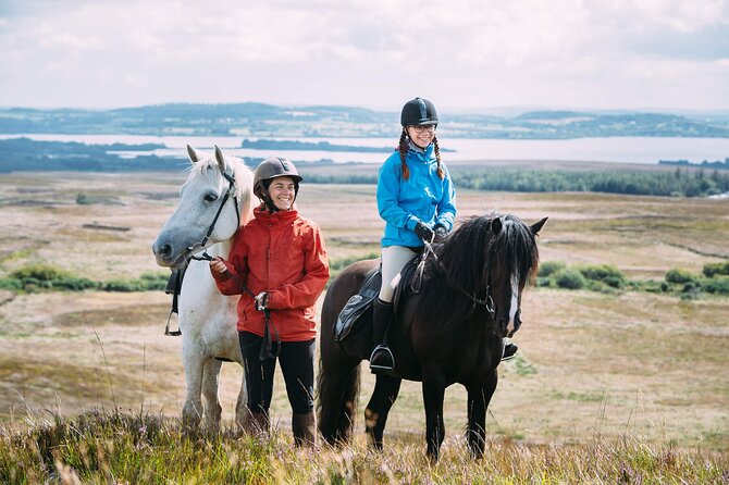 Beach & countryside horse riding outside Westport. Guided. 1 hour - Country roads and Clew Bay views you can actually take in
