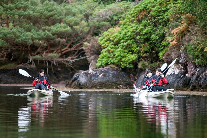 Beautiful Southwest Tour 2022 - Day 4 in Killarney: jaunting carts, lake cruise, and Celtic Steps