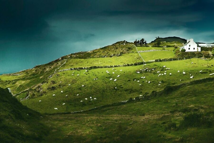 Best of Ireland 6-Day Backpackers Economy Tour - Belfast to Derry: Titanic Belfast, Dunluce, Dark Hedges, and the Giant’s Causeway Wow Factor