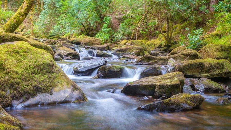 Best of Killarney: Private Walking Tour with a Local - Key things I’d plan around