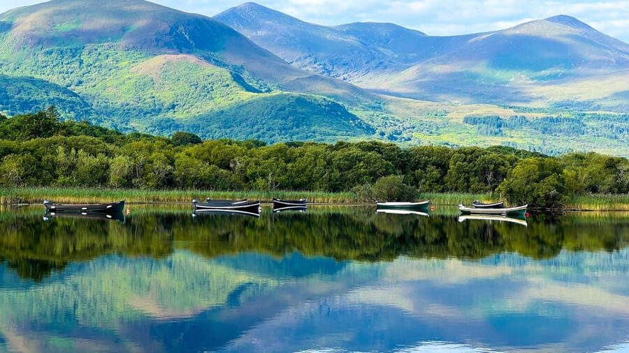 Best of Killarney: Private Walking Tour with a Local - Killarney National Park Walk for Oak Woodlands and Lake Views