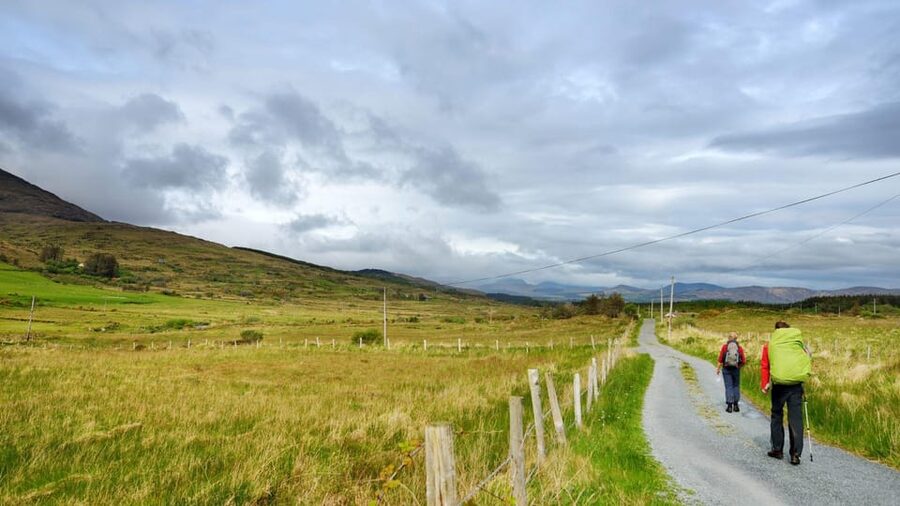 Best of Killarney: Private Walking Tour with a Local - Muckross Lake Pace, Scenic Walks, and Optional Boat Time