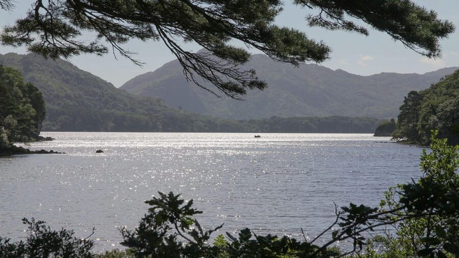 Best of Killarney: Private Walking Tour with a Local - Who This Walking Tour Fits Best (and Who Should Skip It)