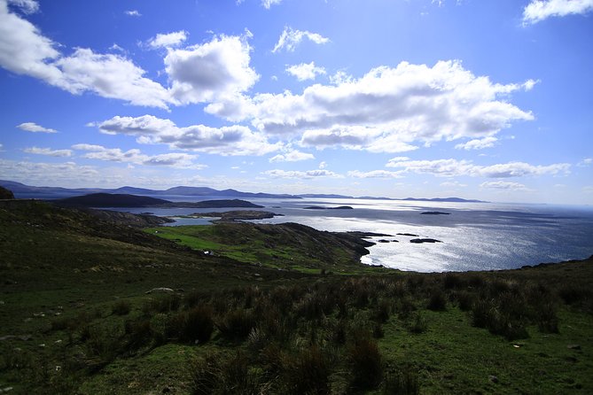 Best Ring of Kerry Tour ex Killarney inc Killarney National Park - Killarney National Park: Lakes, View Photos, and the Sea Eagle Detail