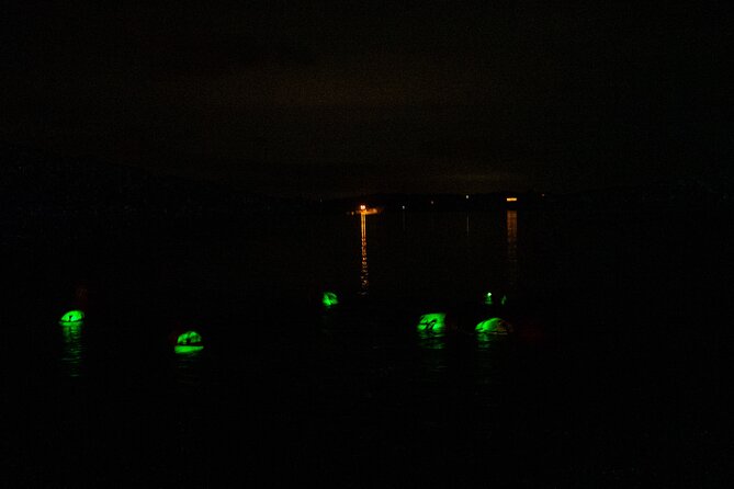 Bioluminescent Swim Experience in West Cork with Storytelling - Key highlights worth your attention