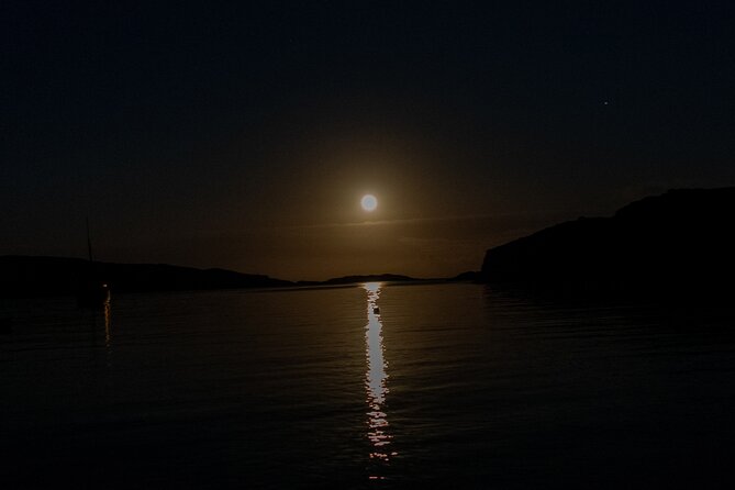 Bioluminescent Swim Experience in West Cork with Storytelling - West Cork bioluminescence at Castle Haven, why this feels different