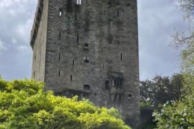 Blarney Castle and Cork City 2025 award winning minibus tour - Price and value: $780.16 per group is only a deal if you use it well