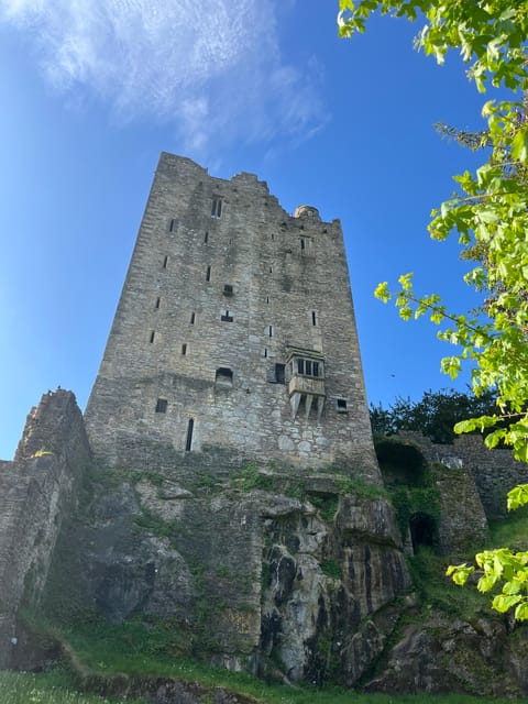 Blarney Castle and Cork City:Private taxi tour . - Key highlights you’ll feel all day