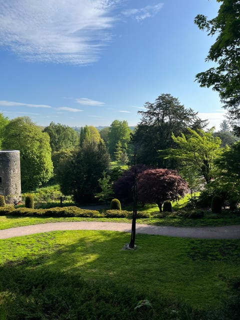 Blarney Castle and Cork City:Private taxi tour . - Why a private taxi day works for Blarney Castle and Cork