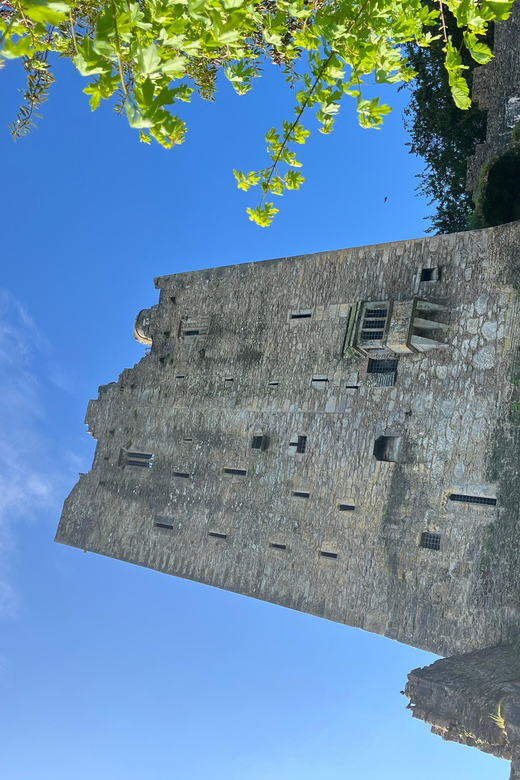 Blarney Castle and Cork City:Private taxi tour . - The English Market and City Hall: food energy plus wartime memory