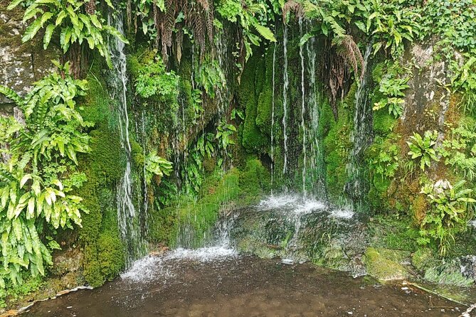 Blarney Castle Cork City and Jameson Distillery Small groups - What To Expect From the Guides on This Tour