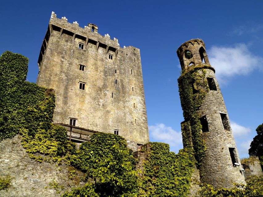 Blarney Castle Full-Day Tour from Dublin - Who This Tour Suits Best (And Who Might Prefer Something Else)