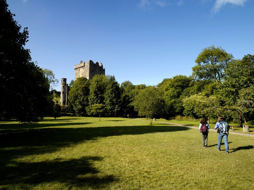 Blarney Castle Full-Day Tour from Dublin - Golden Vale Views and the Road Trip Story You Actually Use