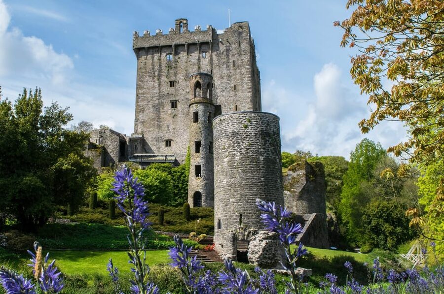 Blarney Castle: Private Guided Day Tour from Dublin - The Blarney Stone kiss: legendary, goofy, and very photo-friendly