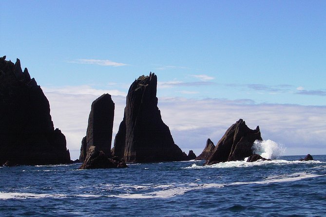 Blasket Island Eco Tour. - The Blasket people: folklore and the human side of an abandoned island