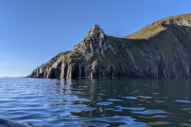 Blasket Island Eco Tour. - Wildlife spotting beyond seals: whales, dolphins, and seabirds