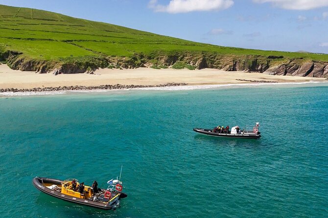 Blasket Island Sea Life Rib Tour, - Key Points Before You Go